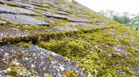 Comment nettoyer efficacement sa toiture