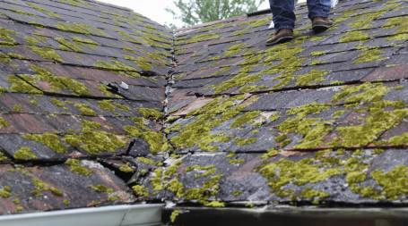 Pourquoi nettoyer sa toiture régulièrement